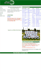 Mobile Screenshot of halebaseball.com